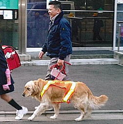 飼い犬もベストを着用して付き添ってくれます（写真）