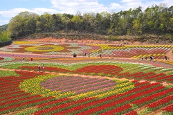 世羅高原農場