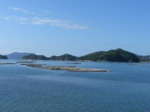 矢野水産様写真２