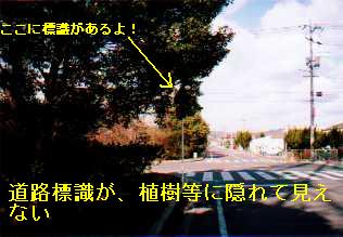 道路標識が，植樹等に 隠れて見えない写真