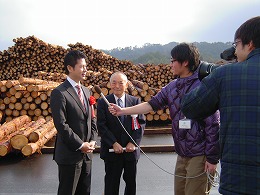 中国木材3
