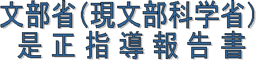 文部省（現文部科学省）是正指導報告書