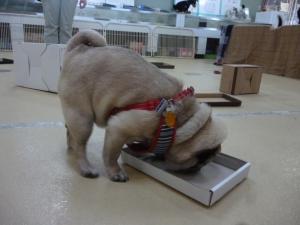 暮らし方教室