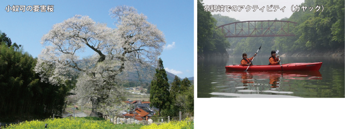 小奴可の要害桜，帝釈峡