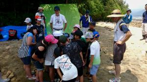 宮島水族館の職員と生息地でミヤジマトンボを観察します