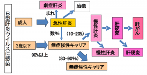 Ｂ型肝炎の転帰です