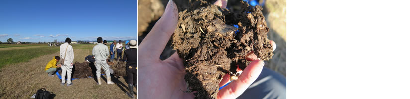 土壌を診る方法