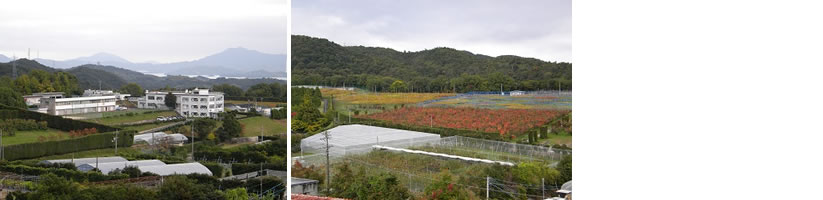 風景