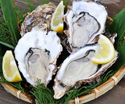 image of oysters