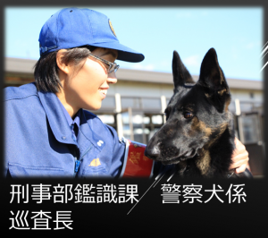 警察犬女性