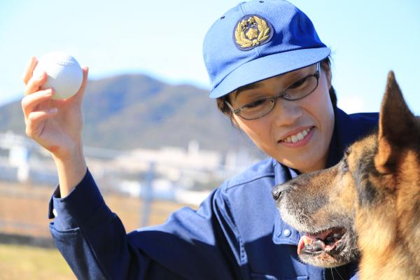 警察犬にボールを見せる警察官