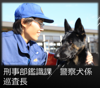 警察犬係