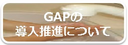 GAPの導入推進について