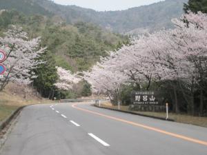 野呂山（ふもとの桜）