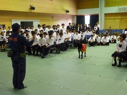 警察犬訓練の実演