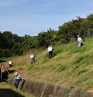 ②法面の草刈り