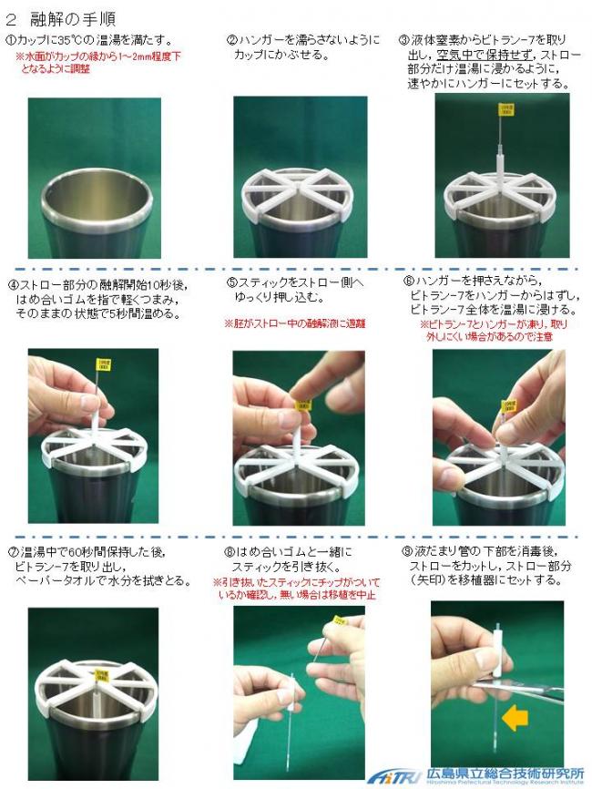 ビトラン７受精卵の融解手順