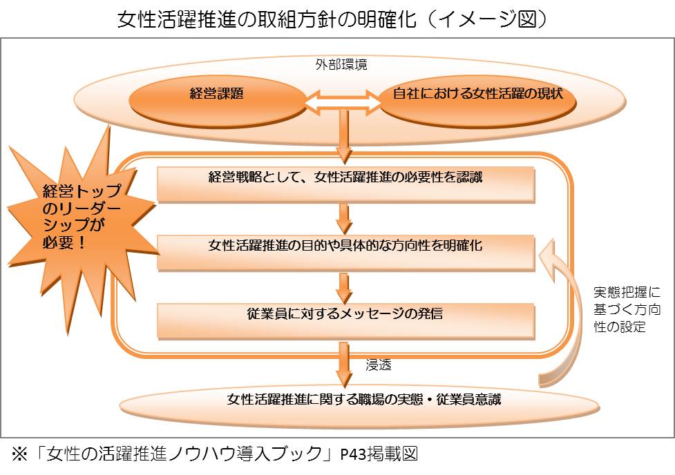 女性活躍推進の取組方針の明確化（イメージ図）