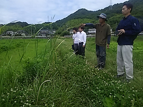 畑を見つめる小仲さん