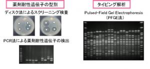 検査結果