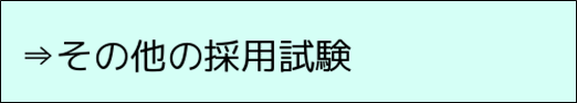 その他の採用試験