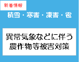 積雪・寒害・凍害・雹に対する農作物への被害軽減対策