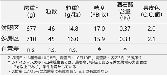 表２　果実品質