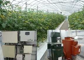 環境制御機器と栽培中のミニトマト