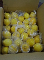 (2)ポリ袋で個装された貯蔵レモン