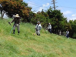 ②法面の草刈り