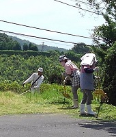 ③草刈りと草集め