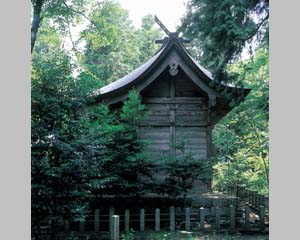 竜山八幡神社本殿