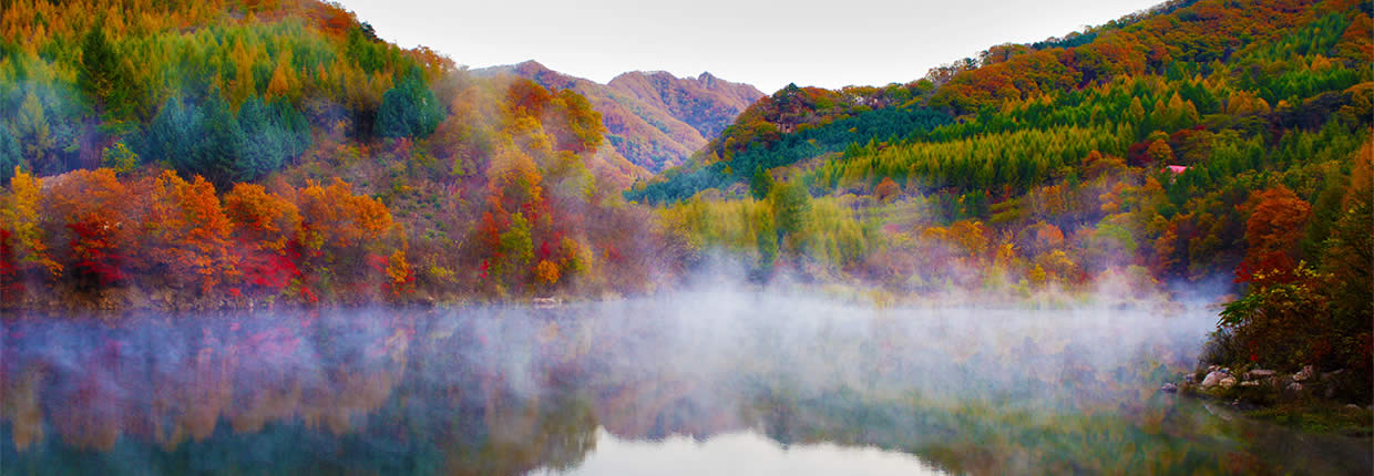 里山の写真