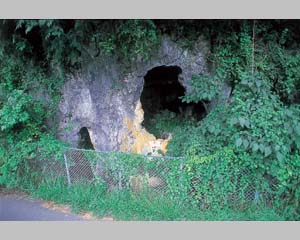 豊松堂面洞窟遺跡