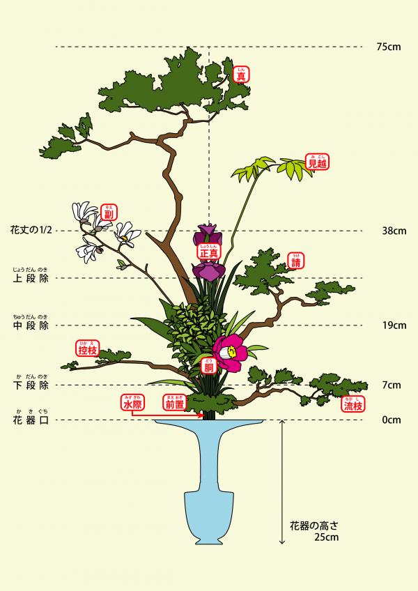 立花の枝の構成図（説明図）
