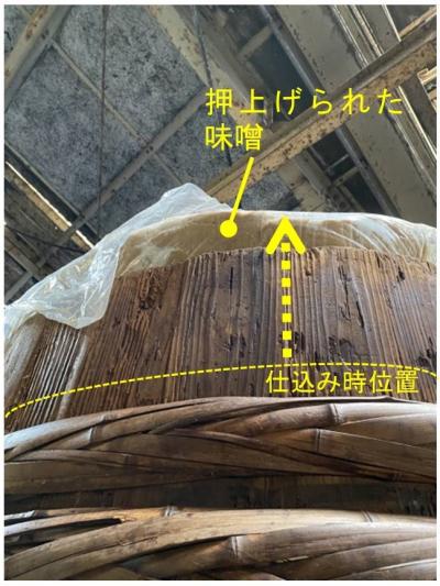 旺盛な発酵により樽からはみ出す勢いの味噌