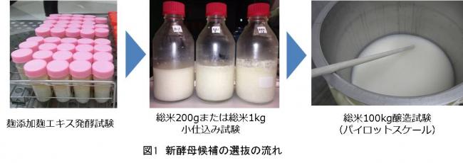 図１新酵母候補の選抜の流れ