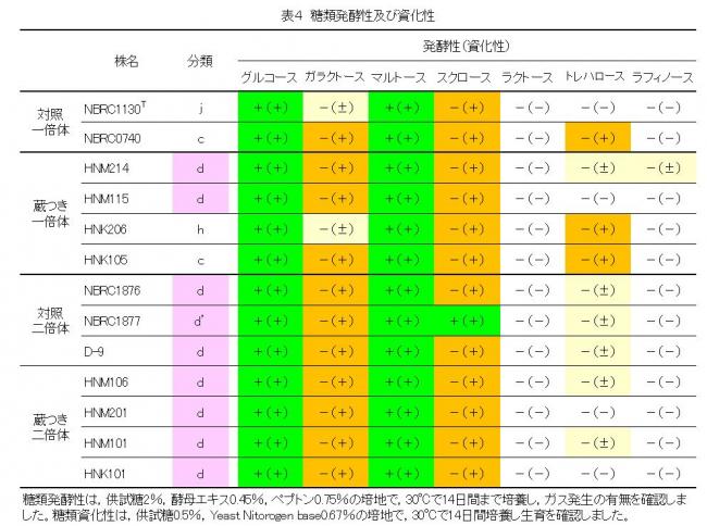 糖類発酵性及び資化性