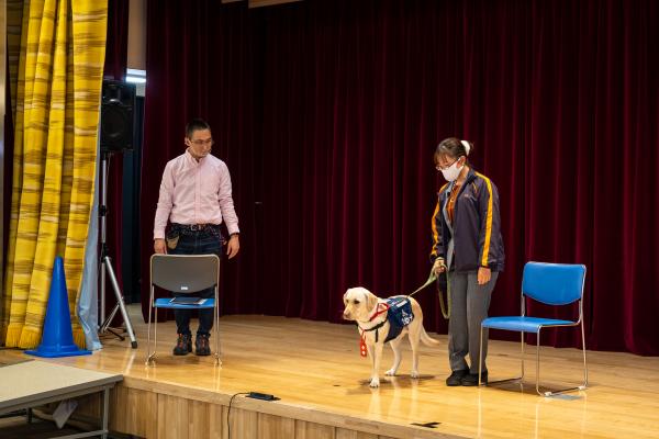 介助犬