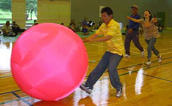 活動の様子の写真2