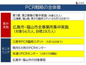 PCR戦略の全体像