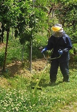 園周辺の雑草の刈り取り