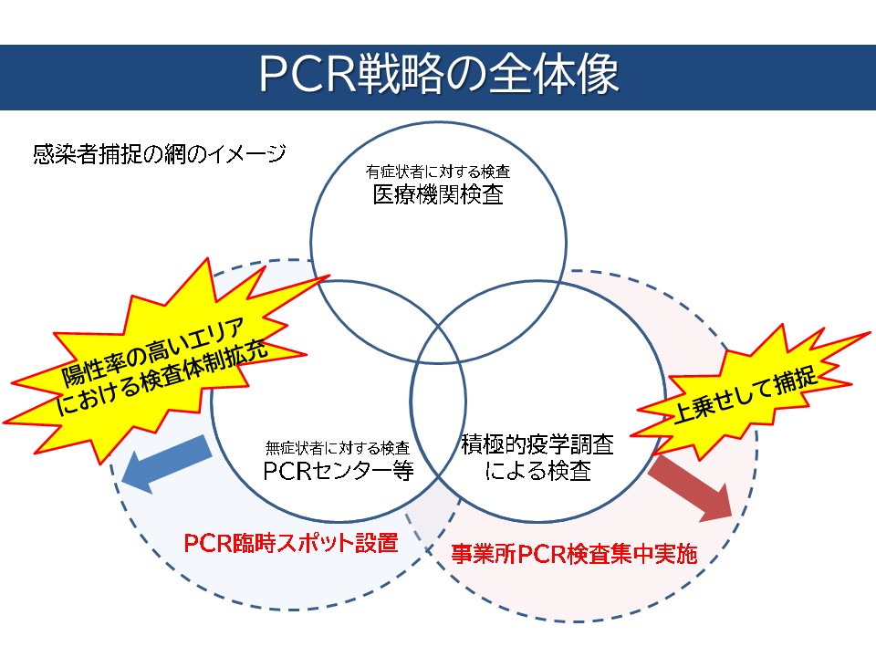 PCR戦略の全体像