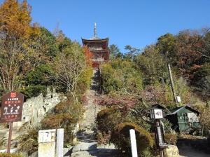 地域の象徴となる山を住民の手で整備　整備前