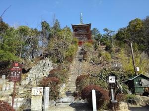 地域の象徴となる山を住民の手で整備 整備後