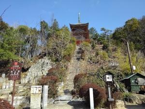 地域の象徴となる山を住民の手で整備　整備後