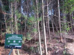 自治会による地域防災のための森林整備　整備前