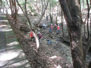 災害で荒廃した憩いの場を整備