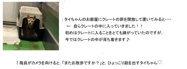たいすけ１