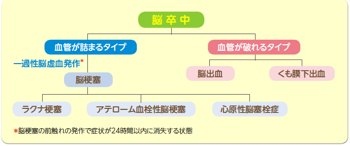 「脳卒中の分類」の画像